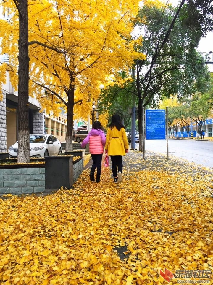 QQ图片20151124101539.jpg