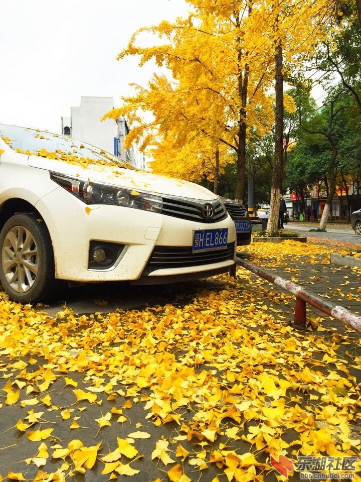 QQ图片20151124101632.jpg
