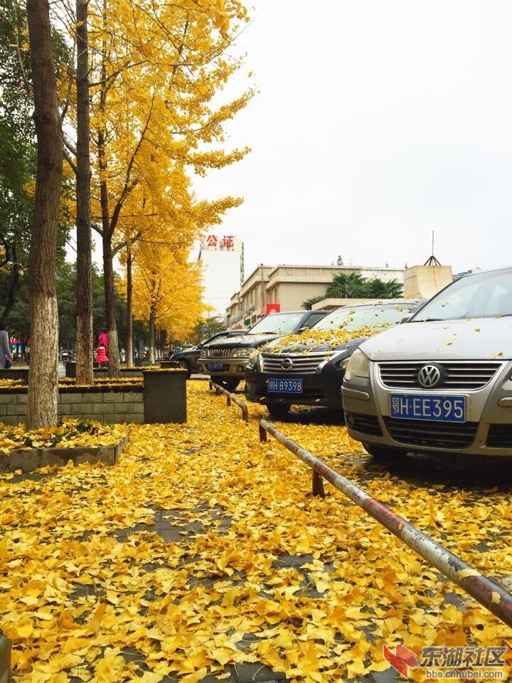 QQ图片20151124101719.jpg