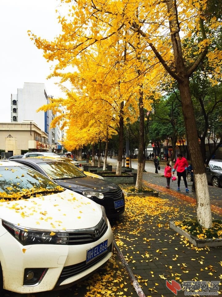 QQ图片20151124101641.jpg