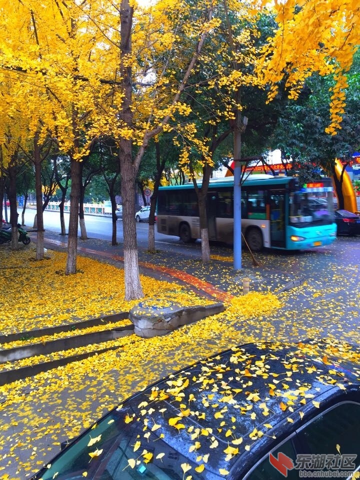 QQ图片20151124101857.jpg