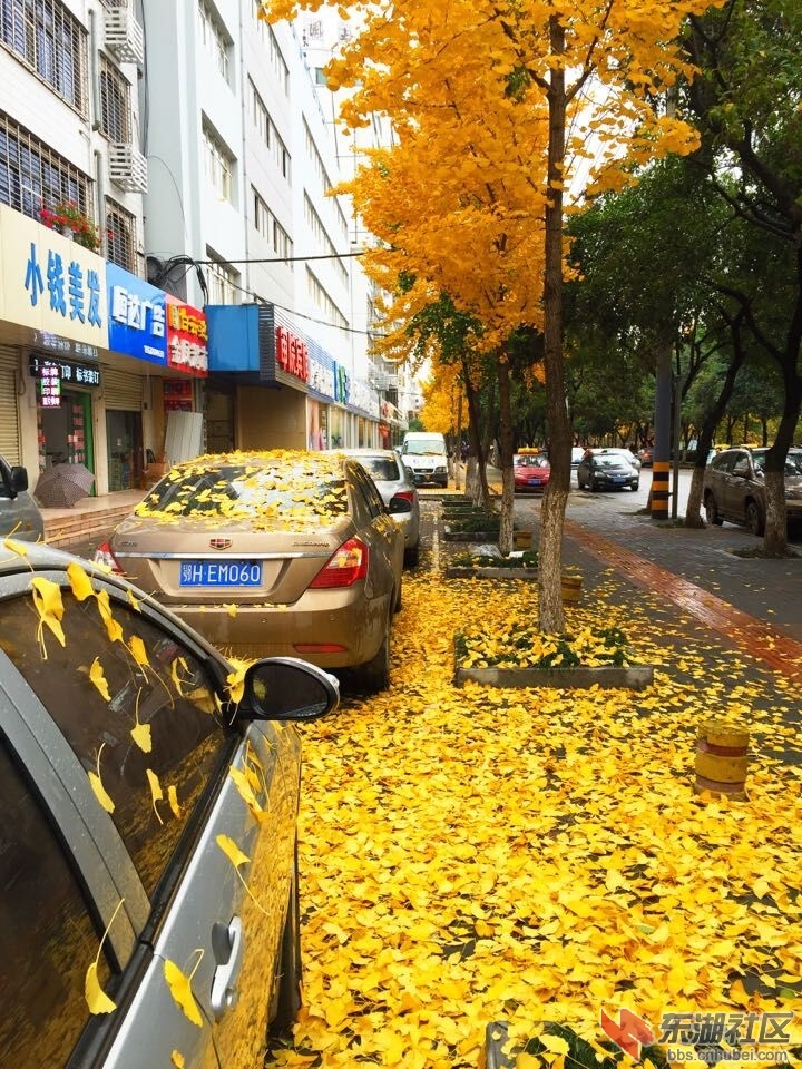 QQ图片20151124101747.jpg