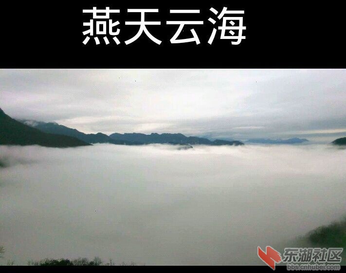 QQ图片20151123084730.jpg