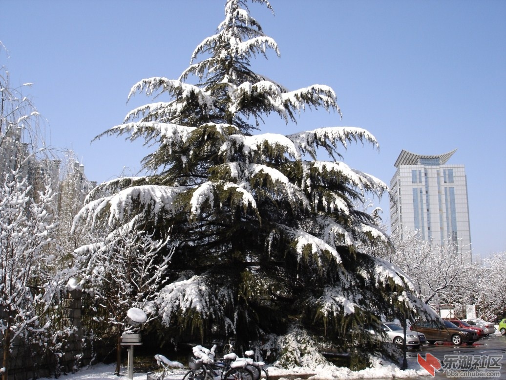 12年春季大雪.jpg