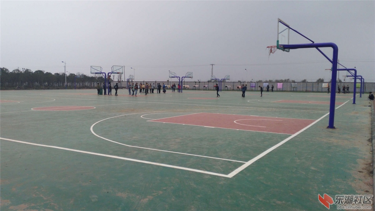 IMG_20151126_140252_副本.jpg