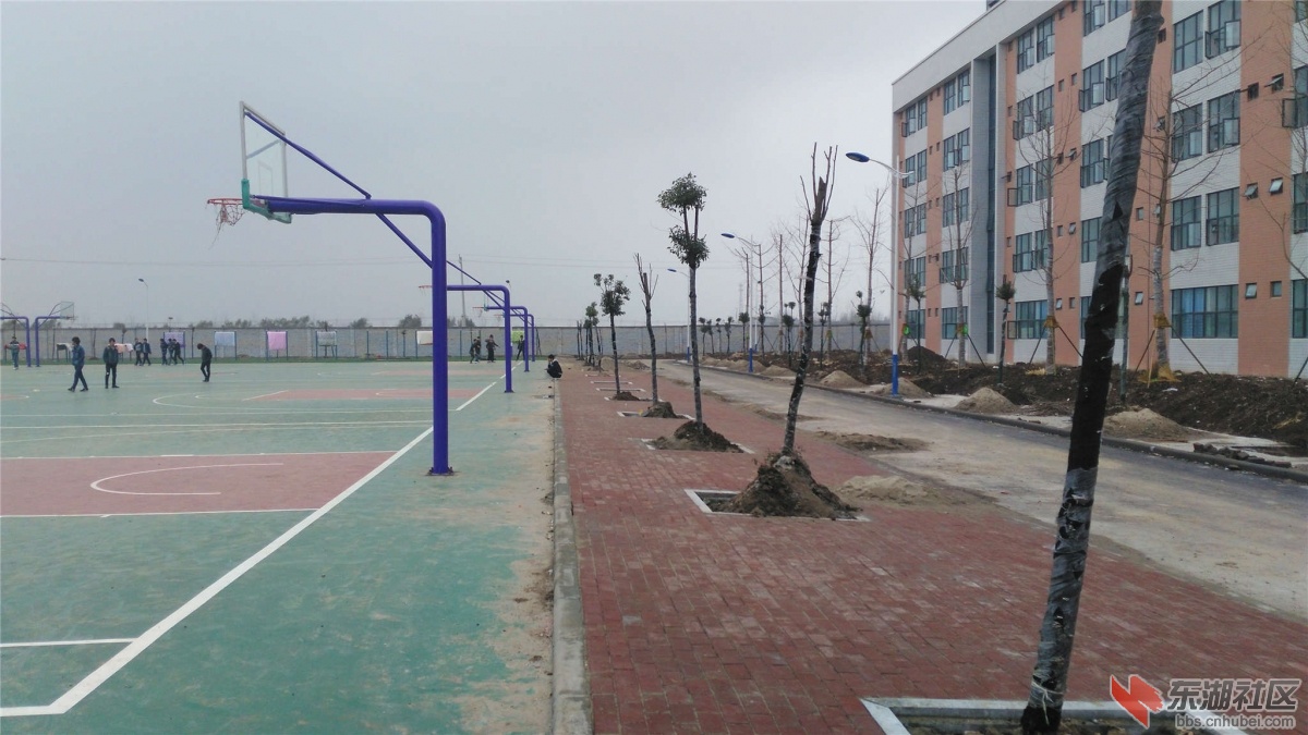 IMG_20151126_140258_副本.jpg
