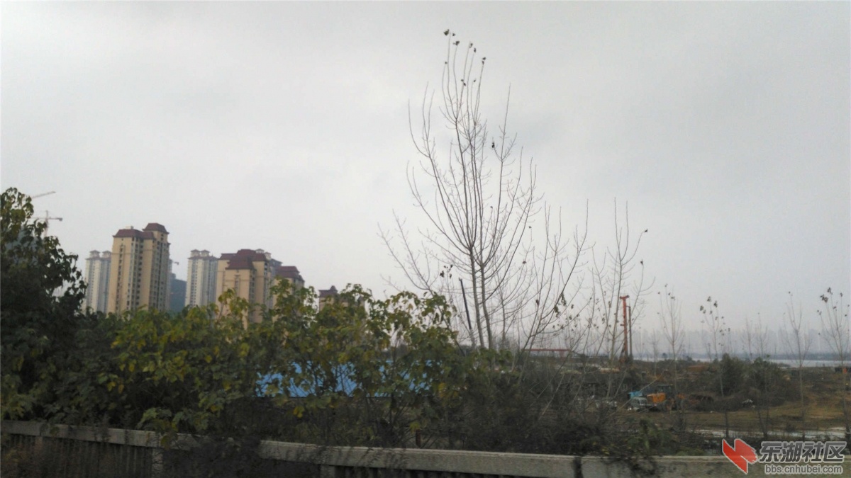 IMG_20151126_145504_副本.jpg