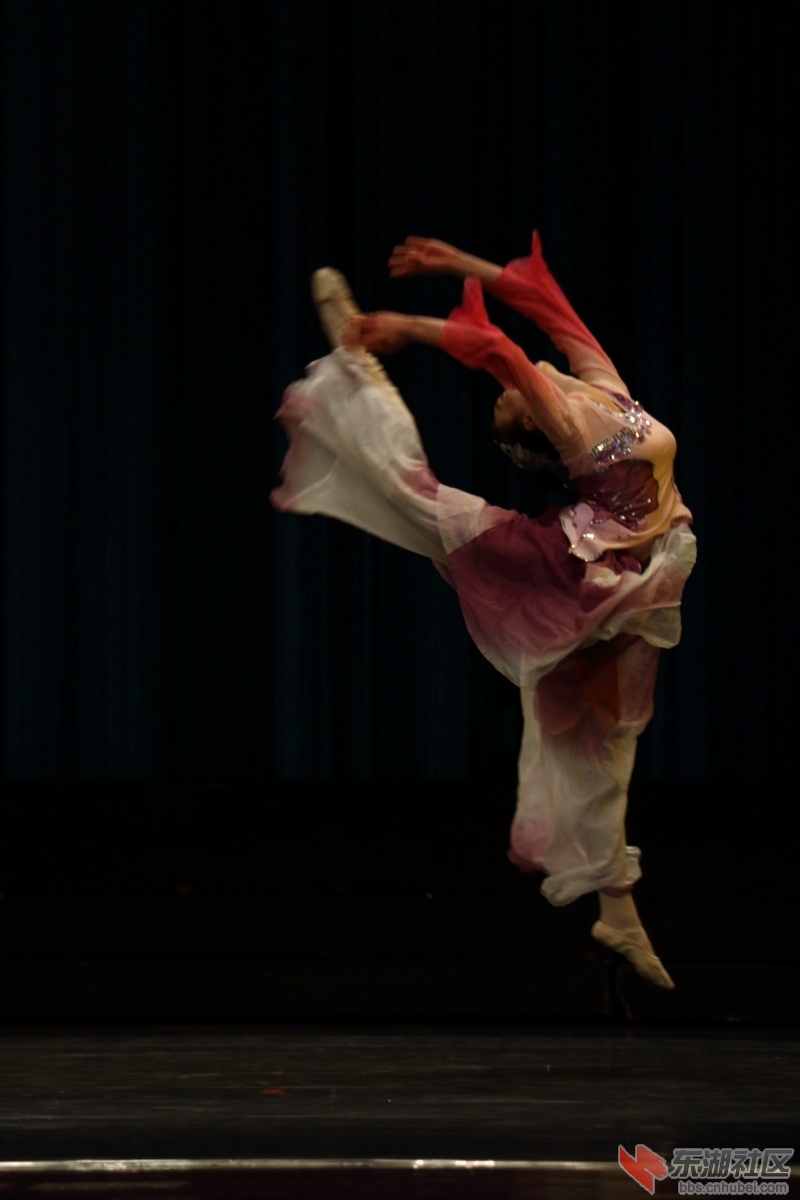 DPP_0013.JPG