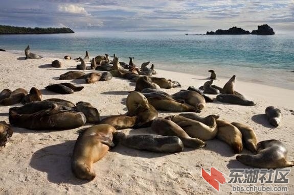 2科隆群岛.jpg