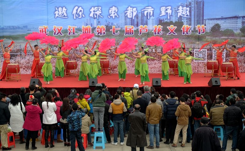 汉口江滩第七届芦花节 2015-11-29 045.jpg