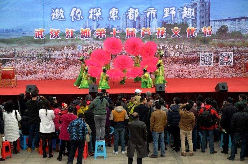 汉口江滩第七届芦花节 2015-11-29 046.jpg