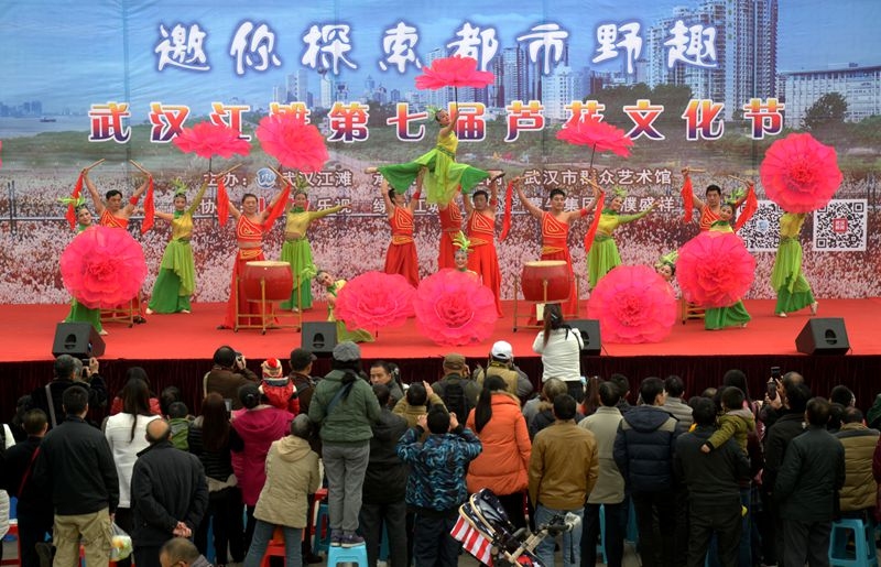 汉口江滩第七届芦花节 2015-11-29 052.jpg