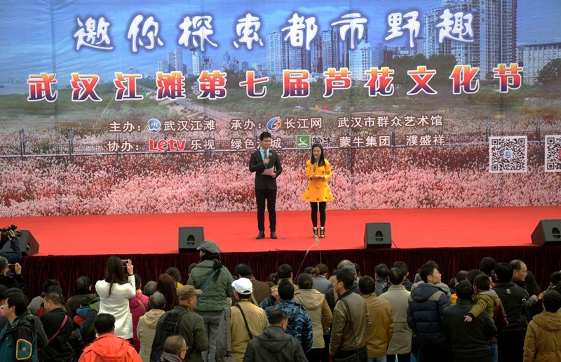 汉口江滩第七届芦花节 2015-11-29 054.jpg