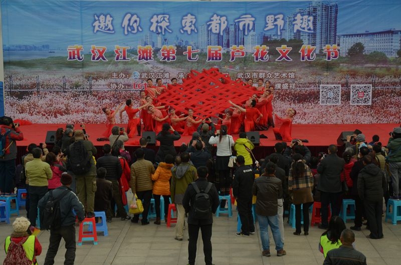 汉口江滩第七届芦花节 2015-11-29 160.jpg