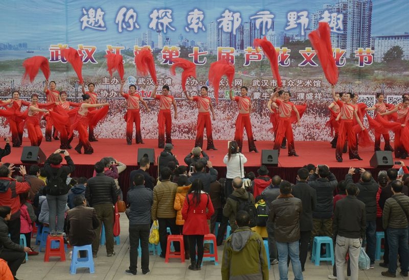 汉口江滩第七届芦花节 2015-11-29 153.jpg
