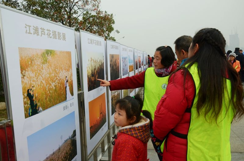 汉口江滩第七届芦花节 2015-11-29 164.jpg