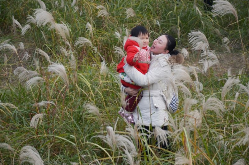 汉口江滩第七届芦花节 2015-11-29 137.jpg