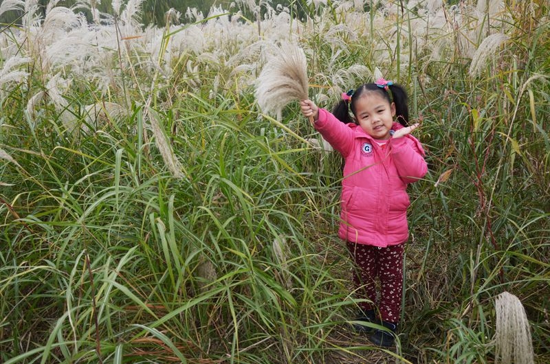 汉口江滩第七届芦花节 2015-11-29 036.jpg
