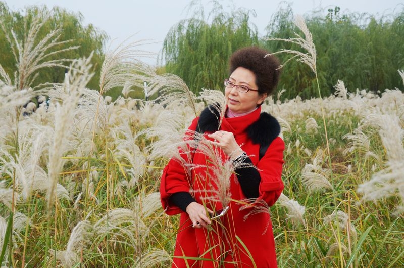 汉口江滩第七届芦花节 2015-11-29 074.jpg