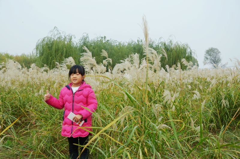 汉口江滩第七届芦花节 2015-11-29 094.jpg