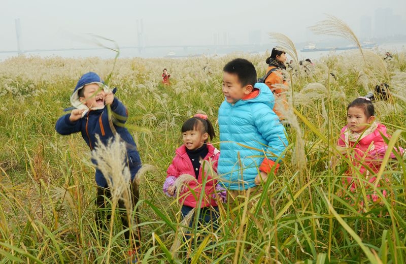 汉口江滩第七届芦花节 2015-11-29 118.jpg