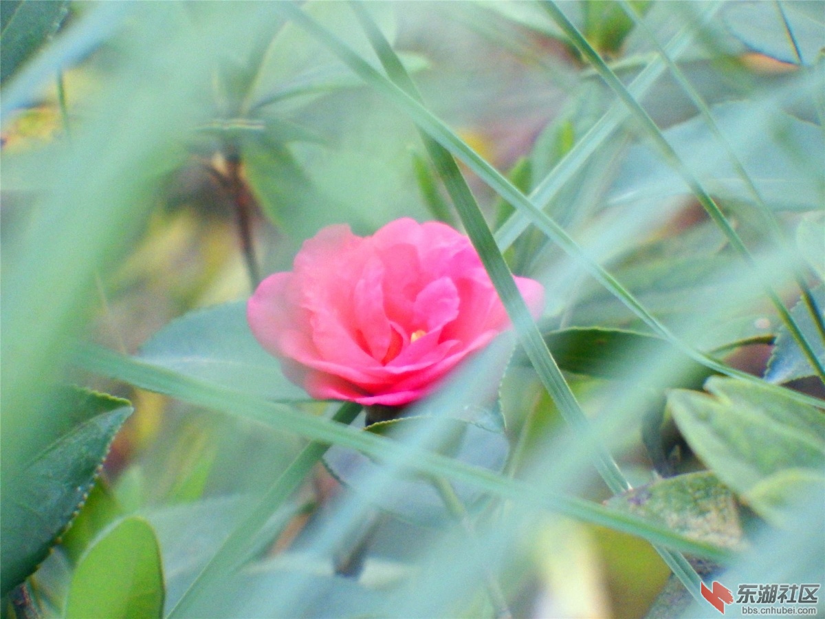 DSCF5853_副本.jpg