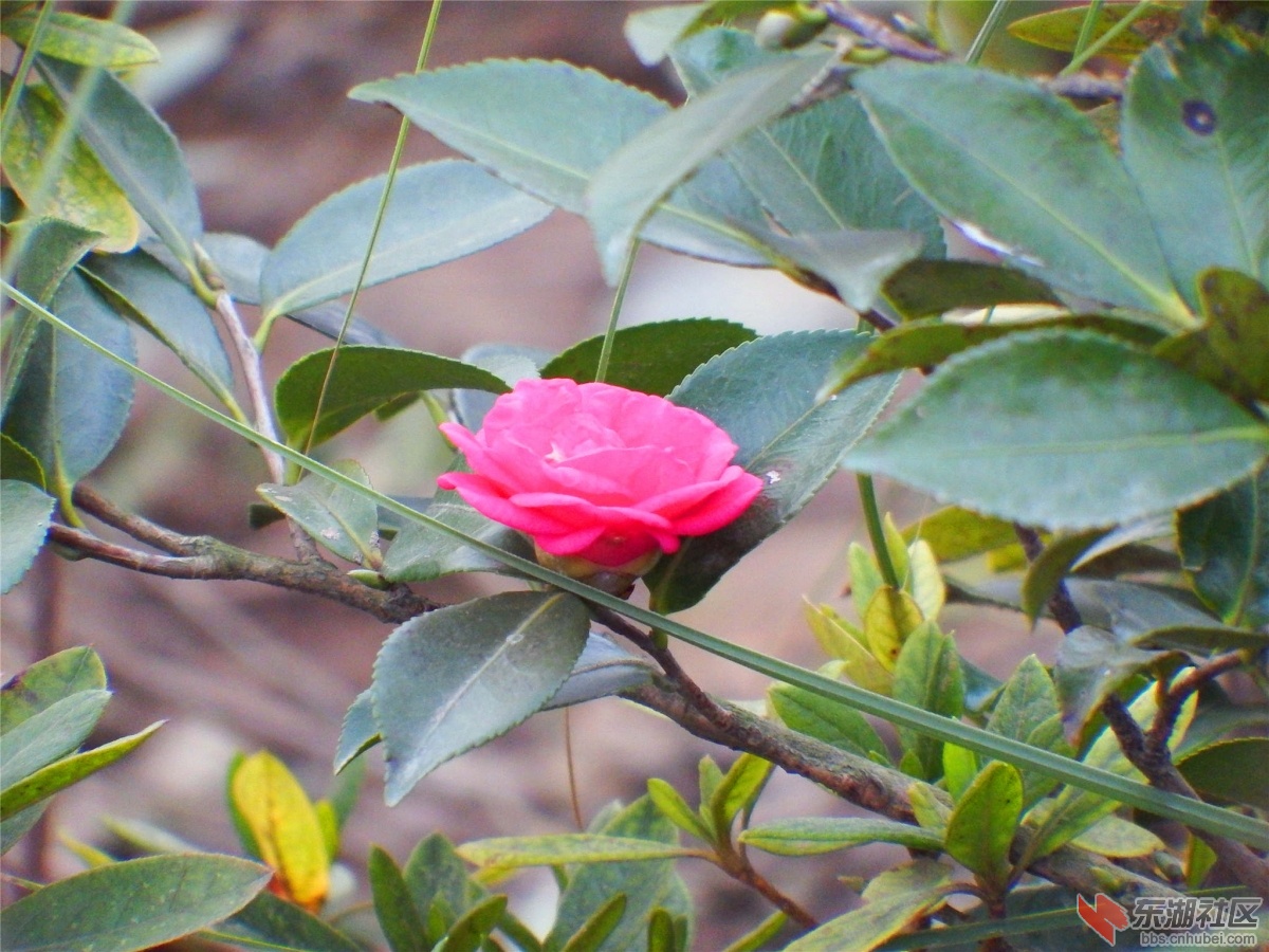 DSCF5854_副本.jpg
