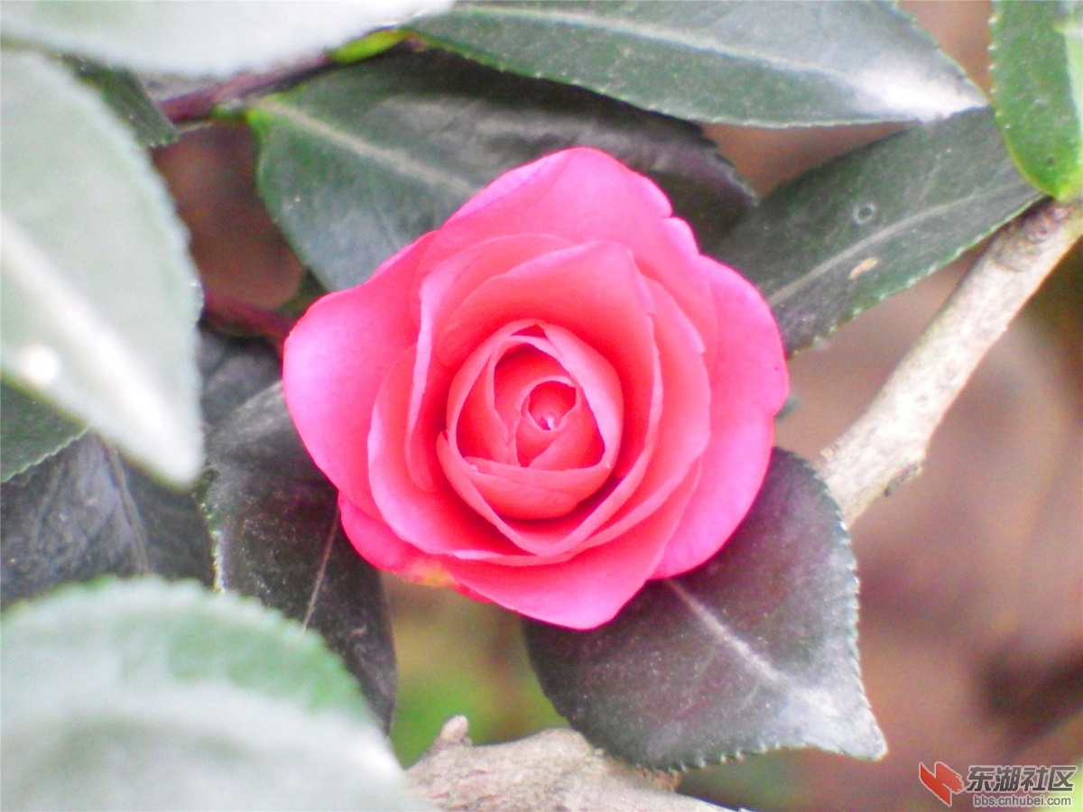 DSCF5858_副本.jpg