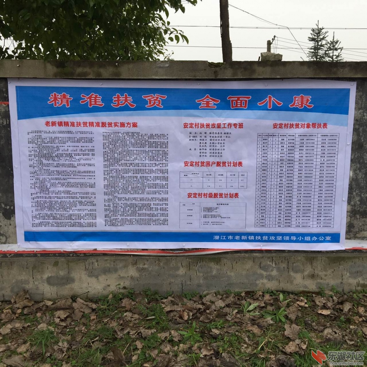 321685392.jpg