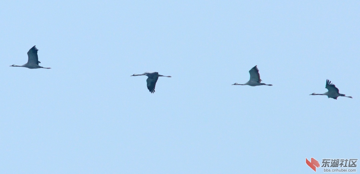 DSC_5229.JPG