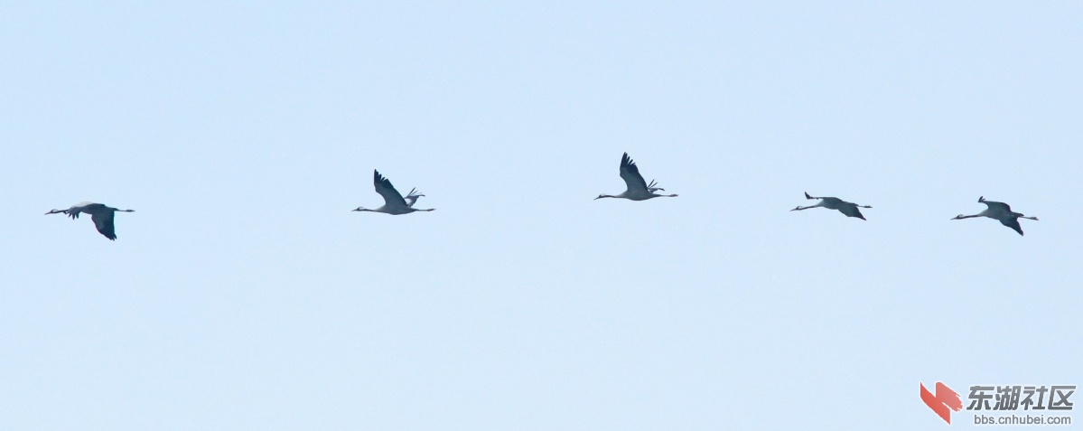 DSC_5232.JPG