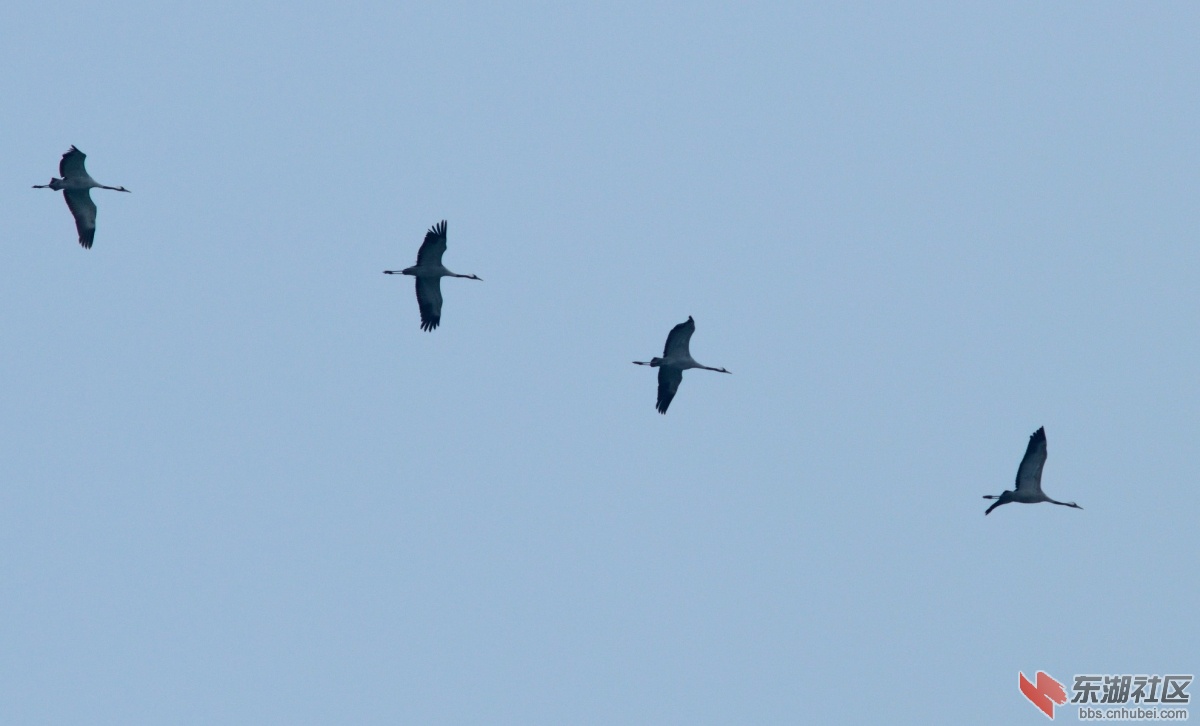 DSC_5241.JPG