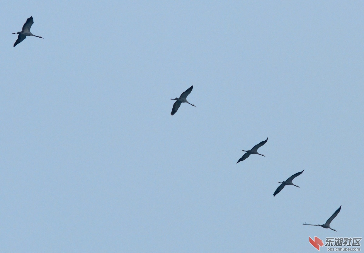 DSC_5243.JPG