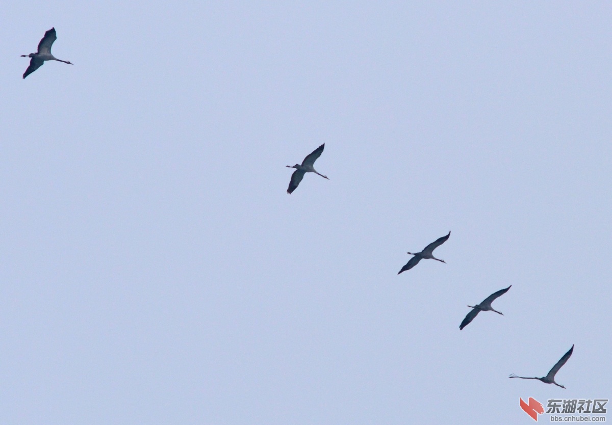 DSC_5243_01.JPG