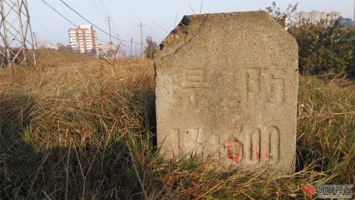 IMG_20151202_084844_副本.jpg