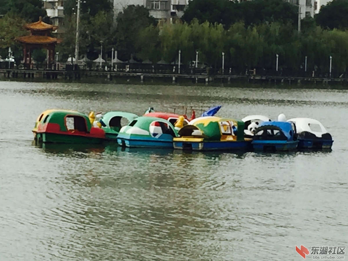 QQ图片20151202160432.jpg