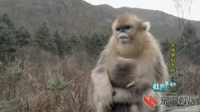 8.webp.jpg