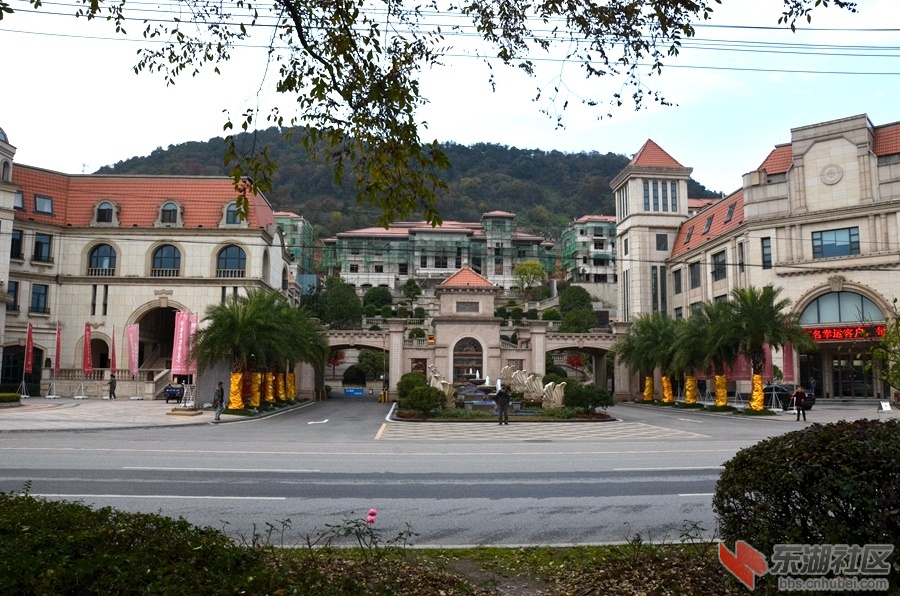 08.jpg