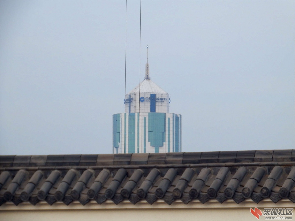 DSCF6436_副本.jpg