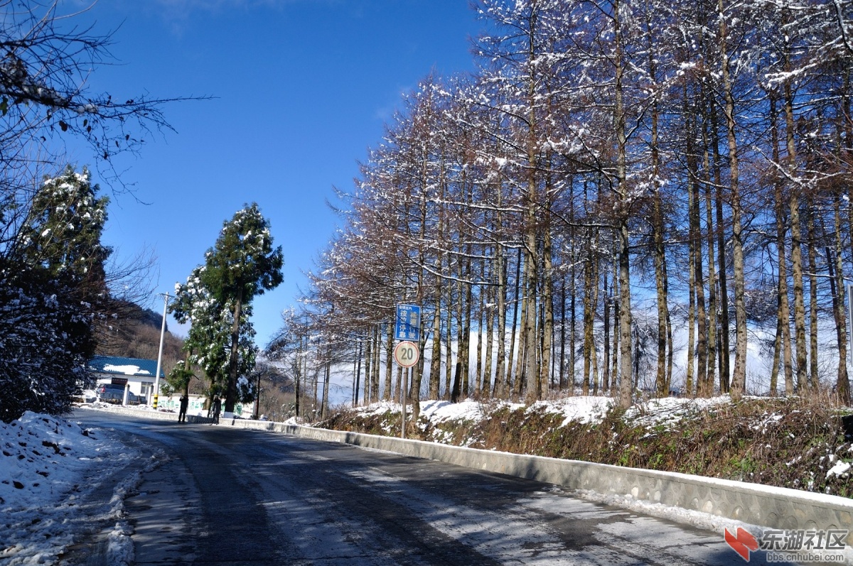DSC_1387_副本.jpg