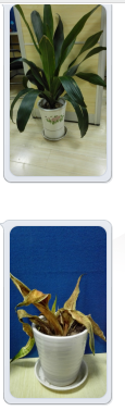 OOI)$%$Z)MX6PLR6_IM~][D.png
