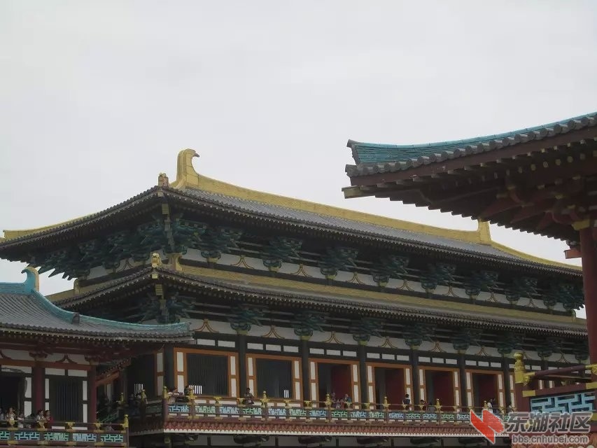 165.jpg