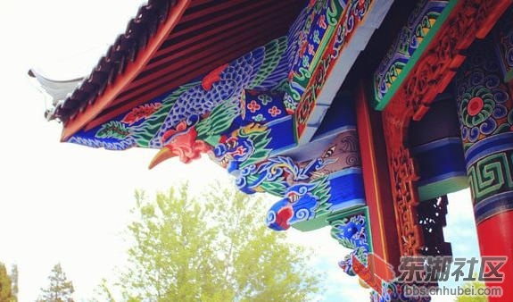 图片15.jpg