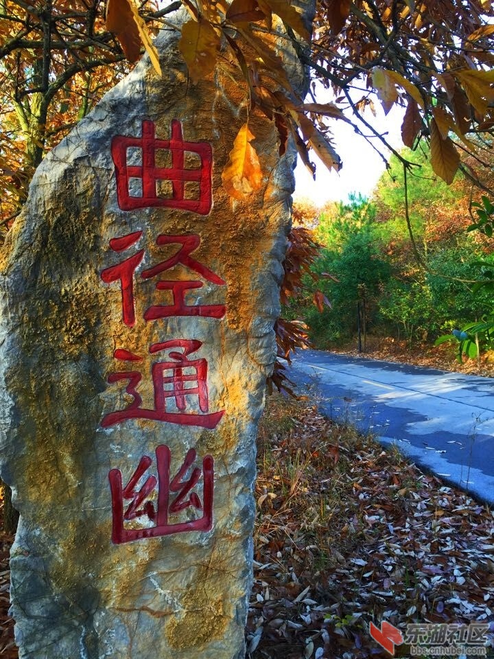 QQ图片20151207153233.jpg