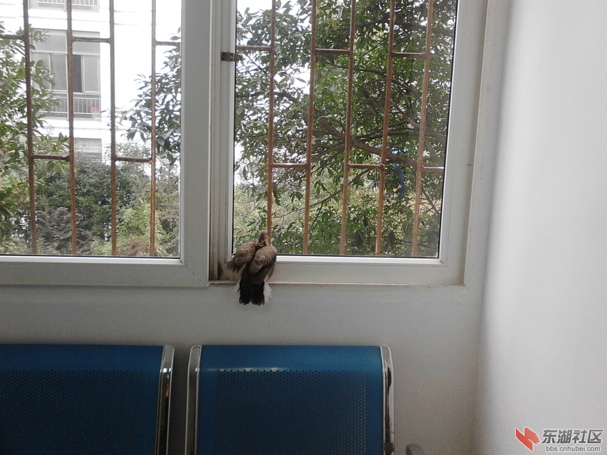 IMG20151208094434.jpg