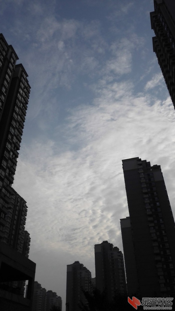 20151207_214851_232.jpg