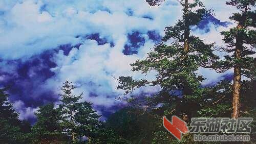 20151128_112327.jpg
