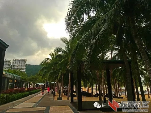 15_看图王.web.jpg