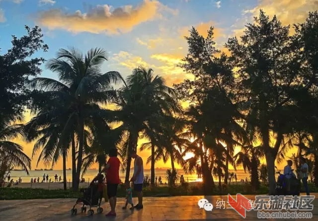 19_看图王.web.jpg