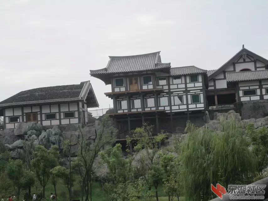 195.jpg